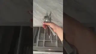 6 мая 2024 г.
