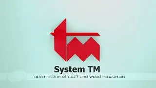 Optimizing Cross-Cut Line including moulder, quality scanner and two saws - Opti-Solution (1498)