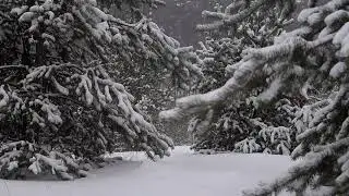 Шум падаючого снігу допоможе заснути за 10 хв.