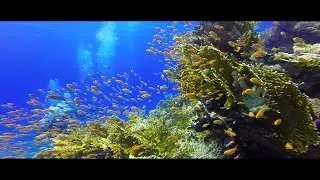 GoPro Hero 3 Egypt Vacation Aftermovie - HD