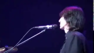 The Fortunes Live 2005 -  Without You