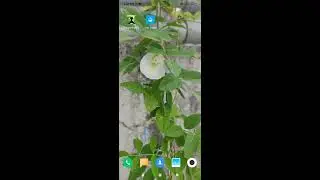 MIUI. 12. data usage show how to enable
