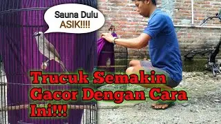Trucukan Semakin Gacor Dengan Cara Ini