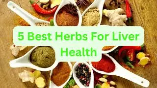 5 Best Herbs For Liver Health