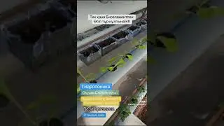 Биоэлемент алға