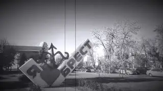 БРЕСТ черно-белый