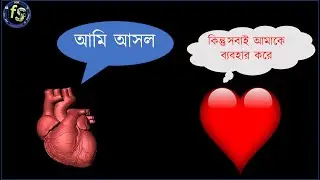 হৃৎপিন্ড সম্পর্কে আকর্ষণীয় তথ্য | Interesting facts about heart