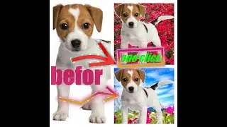 Photo editing background change | Photoscape editing pictures | Photo editing