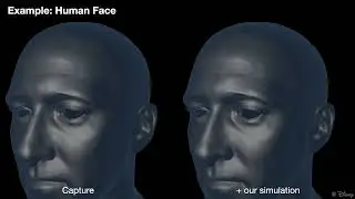 GraphSimulationForSkinMicroWrinkles Video