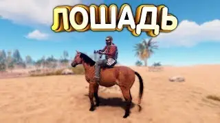 ЛОШАДЬ уже в RUST | B16