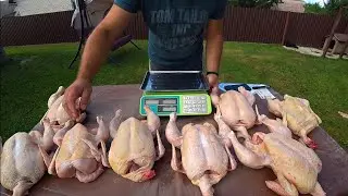 44-day slaughter and comparison of Cobb, Ross (Czech Republic) and broilers from food eggs