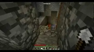 Minecraft Video