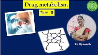 Drug Metabolism Part 2 - BP402T