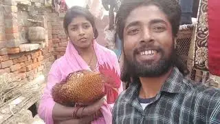 इस मुर्गे पर मेरी बीबी का प्यार देखिए कितना जाता रही है Reema official l #dailyvlog