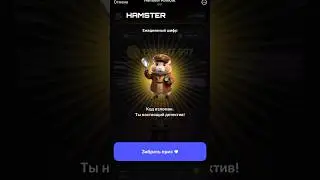 Hamster Kombat 12 - 13 июня 2024. Шифр
