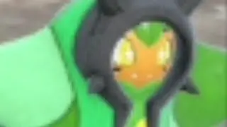 this will be ogerpon in 2006