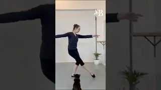 Herbert the Cat Teaches Ballet