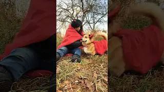 Идёт нам красный?