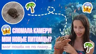 😱 Сломала камеру! // Мои новые питомцы?! // Один день из жизни в Египте 🌴