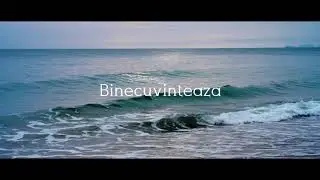 Adi Pop - Binecuvanteaza suflete pe Domnul (official )lyric and video