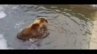 Открыл купальный сезон