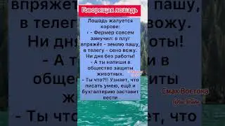 анекдот #полезныесоветы #прикол