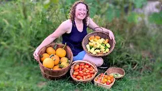 Incredible 60 lb Garden Harvest From My Demure Garden