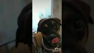 Рита ругает хейтеров! Ты кто такой, вообще!