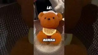 TEDDY BEAR HOT POT