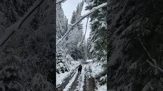 Снег завалил Урал в мае!