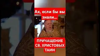 Причащение. Ах, если бы вы знали... Протоиерей Димитрий Смирнов.