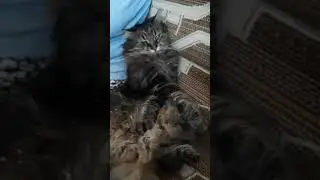 Лучший маникюр