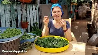 Как похудеть? У меня проблема с этой фигурой  22.06.22