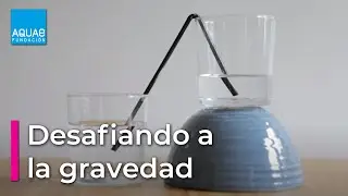 Desafiando la GRAVEDAD | Experimentos
