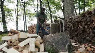 Hand Splitting The Rest of The Red Elem & Maple Into Firewood