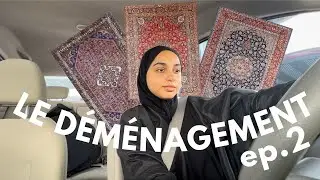 Je vais dans les MONTAGNES chercher des tapis 🏔️🇦🇪 - Déménagement ép.2