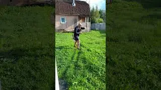 18 августа 2024 г.