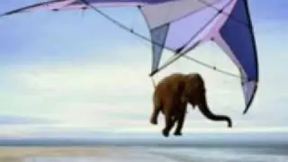 летаем.flv