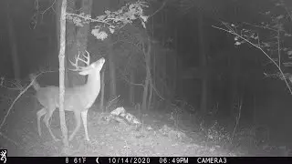 Deer Hunting Arkansas 2020 Muzzleloader Season