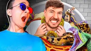 😱СЯДЬ К ЗМЕЯМ И ПОЛУЧИ $100.000! РЕАКЦИЯ МИСТЕР БИСТ