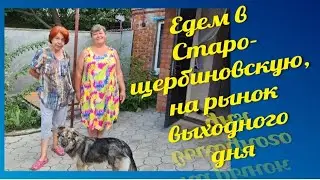 Ейск🌹Рынок выходного дня в станице Старощербиновской. Наши покупки😁👍😉🐔🐔🐔