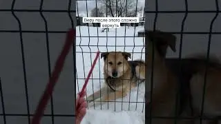Сложная судьба у Тоши и приют теперь его дом 