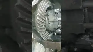 ГАЗель Некст РАЗВАЛИЛСЯ ДИСКОВЫЙ МОСТ