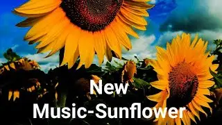 New Music-Sunflower