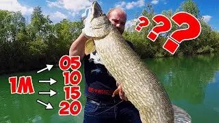 BROCHET GEANT - Combien mesure ce MONSTRE ?