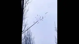 Стрельба с РОГАТКИ по веткам