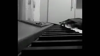 Sibusiso PhD Dlamini - Impressions (John Coltrane)