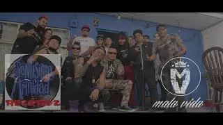 Mala Vida TV Promocional ( Palomazo  Cover Chuck Berry Johnny be good)