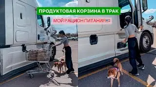 ЗАКУП ПРОДУКТОВ В ТРАК. ДЕВУШКА ДАЛЬНОБОЙЩИК США