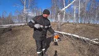 ЕДЕМ В ЛЕС ЗА ВАЛЕЖНИКОМ
